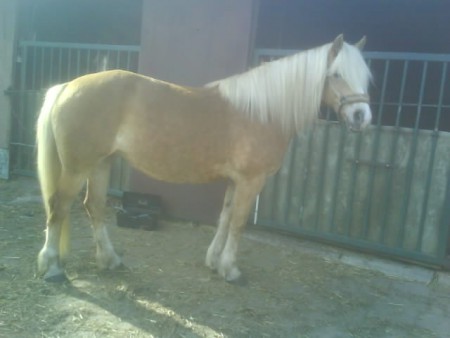 onze Gerty